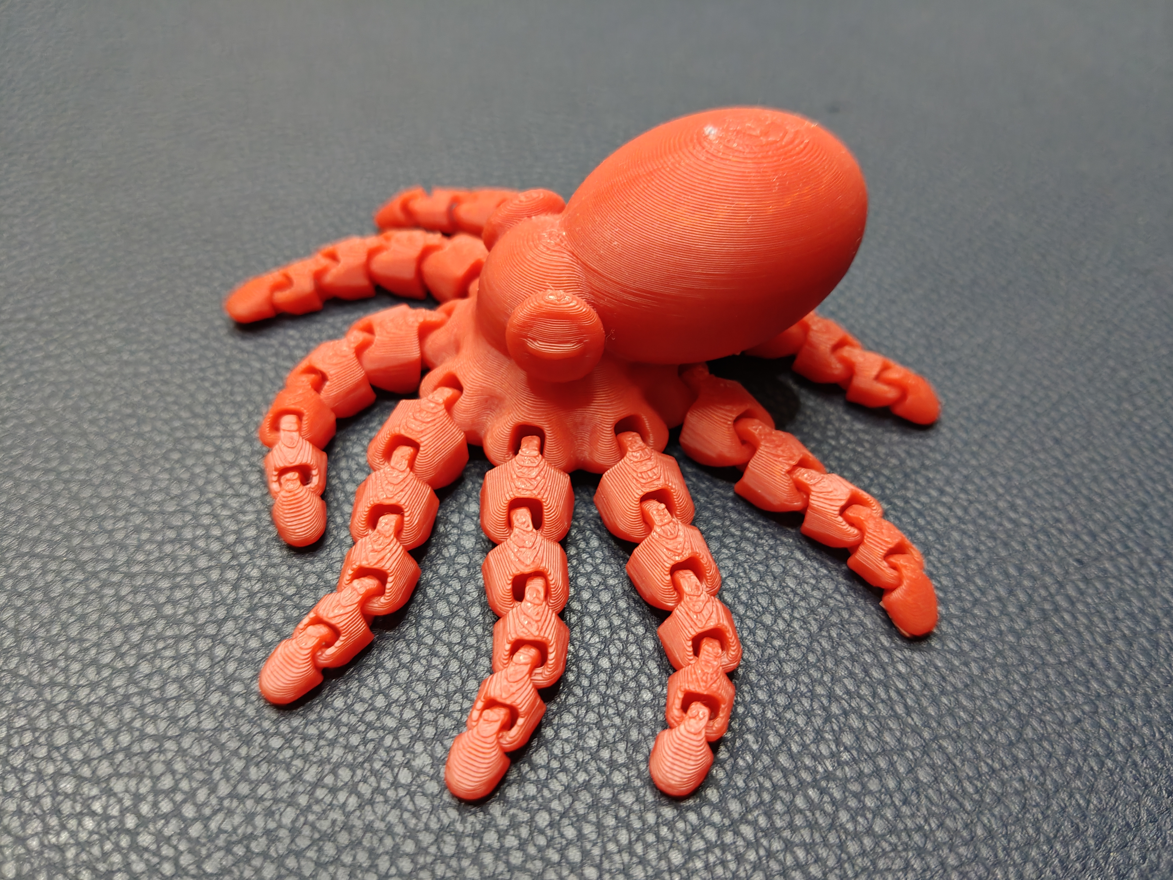 Pulpo cabezon