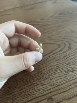 Accesorio para boquillas: The smallest llama in the world (Nozzle 0.4) — vista de referencia 3