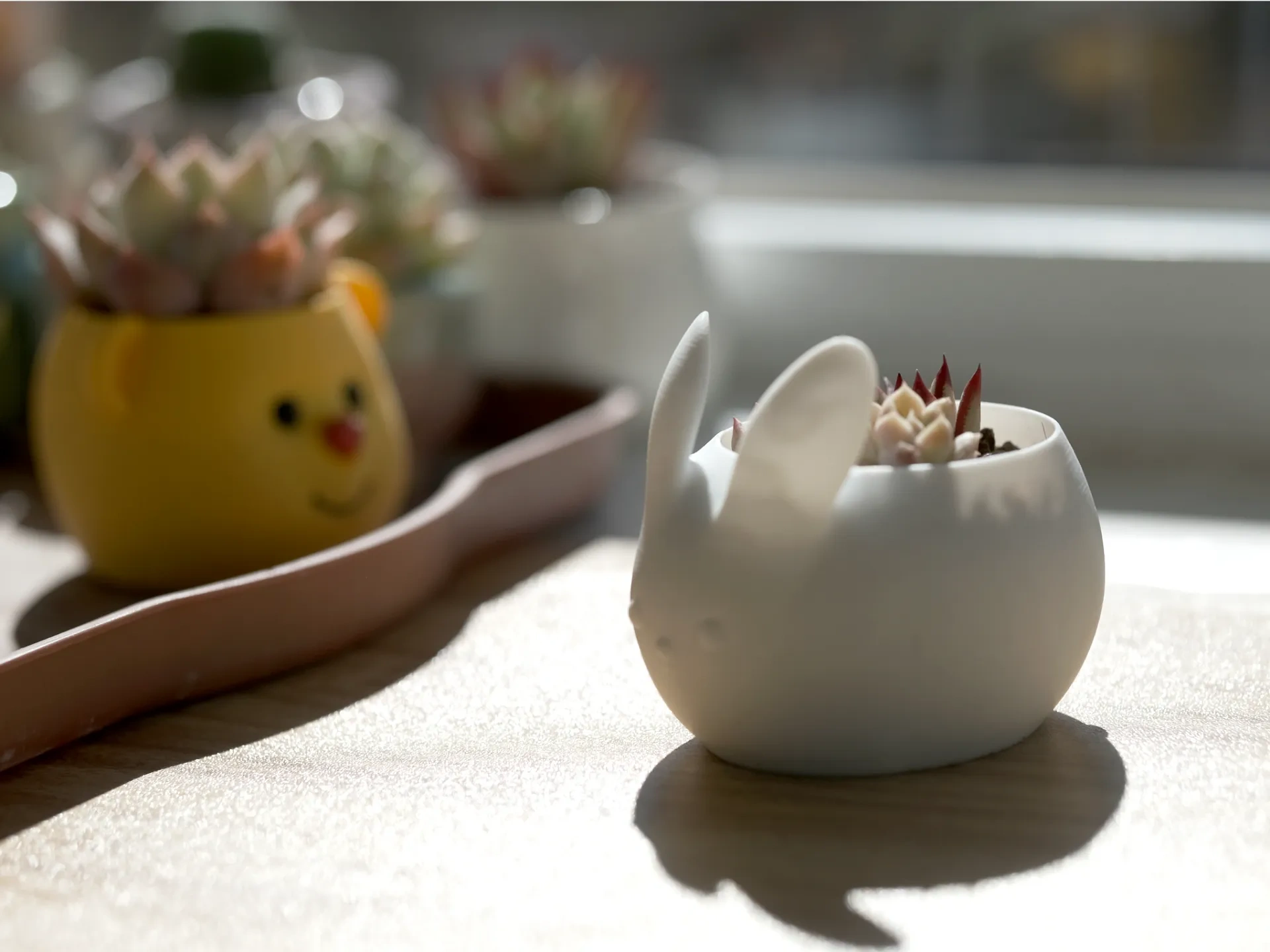 小兔多肉花盆（带底托）