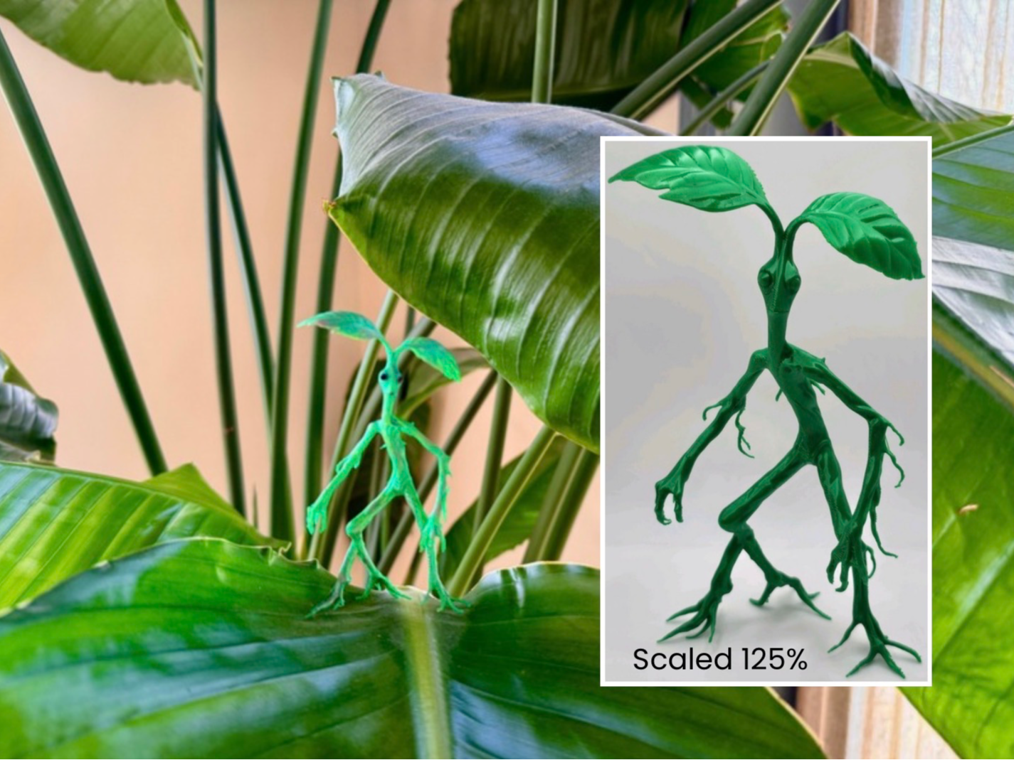 Bowtruckle Fantastic Beasts Pickett look a like