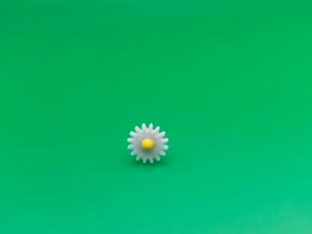 Daisy stud earrings