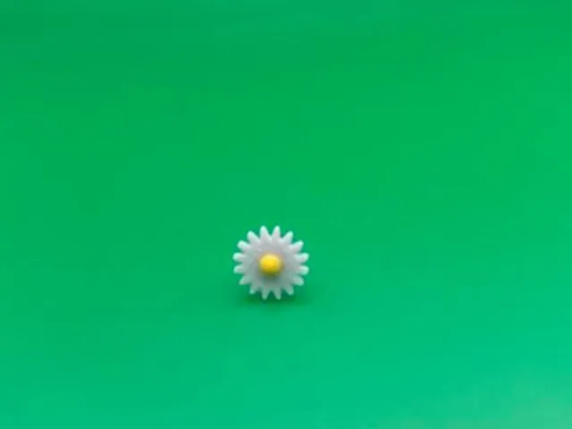 Daisy stud earrings