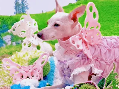 Come and check out this 3D Printed body accessory that both humans and pets can wear!