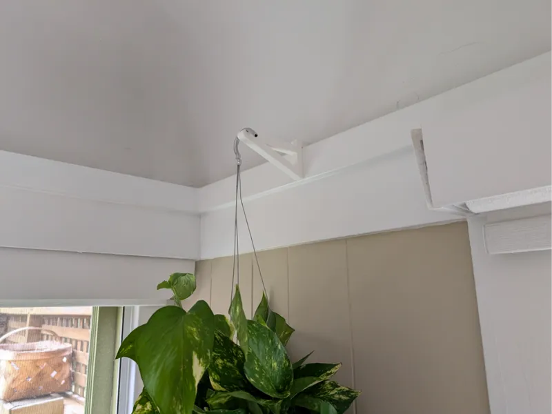 Hanging plant hook (for a picture rail)
