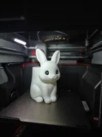 0.2mm layer, 2 walls, 5% infill