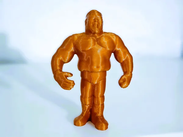https://makerworld.bblmw.com/makerworld/model/US22dfc91bef7d02/design/2026-01-18_b976d492542e88.jpg