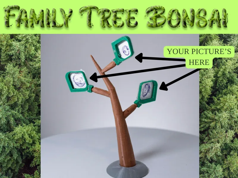 Family Tree Bonsai
