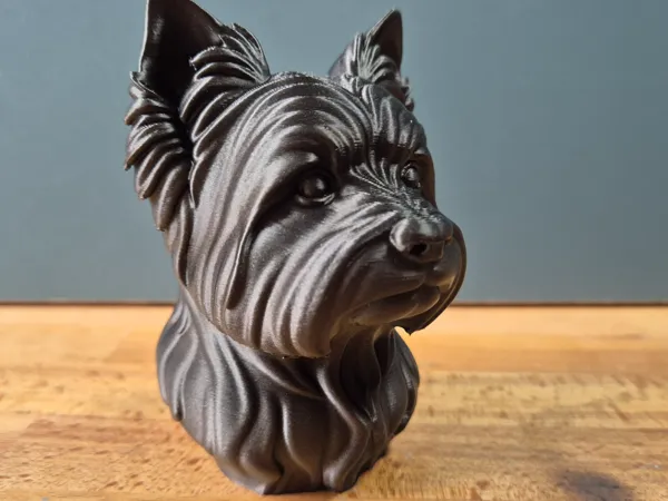 https://makerworld.bblmw.com/makerworld/model/US22e4e128614683/design/2025-05-25_f4fc9dab13711.jpg