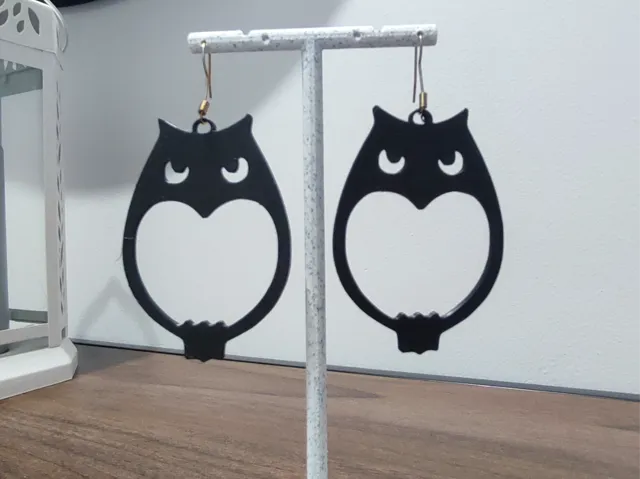 Aretes Guardián de la Luna