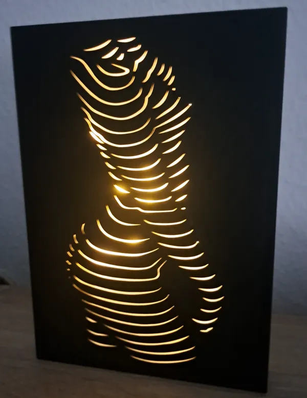 https://makerworld.bblmw.com/makerworld/model/US22eaf269452ce6/design/2024-12-18_58d9c33171ec.jpg