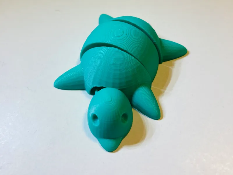 articulated turtle
