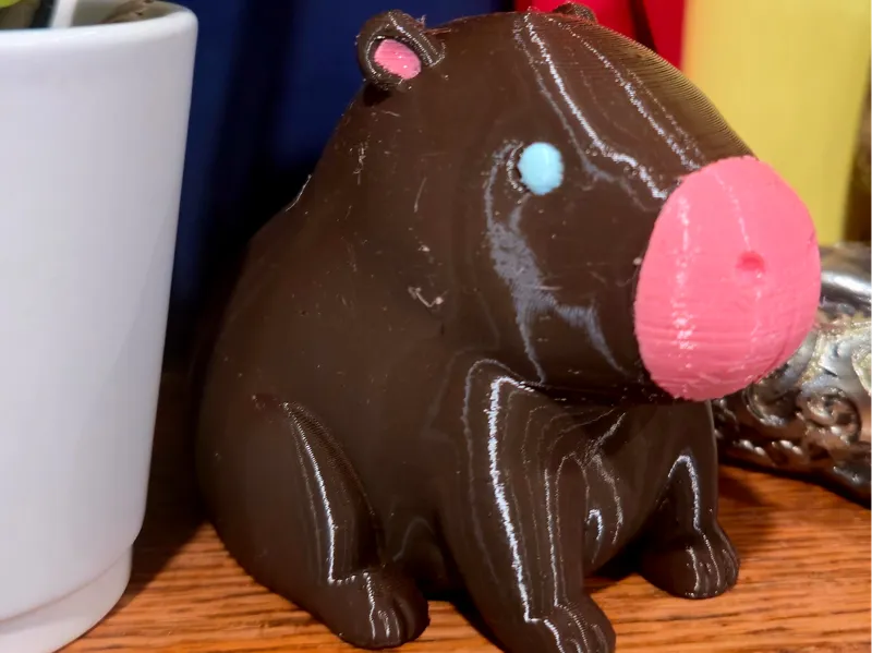 Cute Capybara TPU Multicolored Squishy