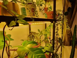 Ikea Vittsjo LED Pflanzenlicht Halter Magnetisch