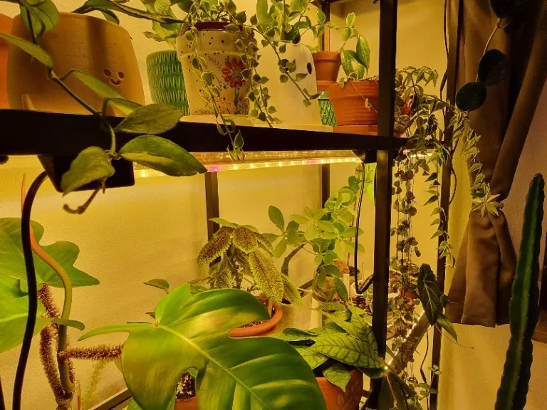 Ikea Vittsjo LED Pflanzenlicht Halter Magnetisch