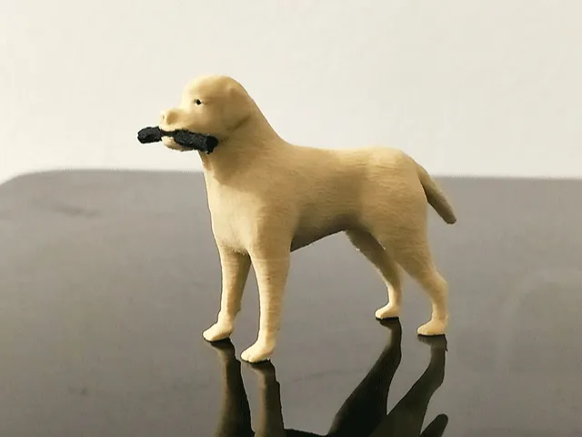 labrador retriever dog dogs