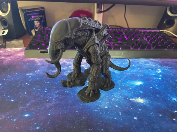 https://makerworld.bblmw.com/makerworld/model/US2306b102f2c2af/design/2025-09-12_2a9d82d0ca8af8.jpg