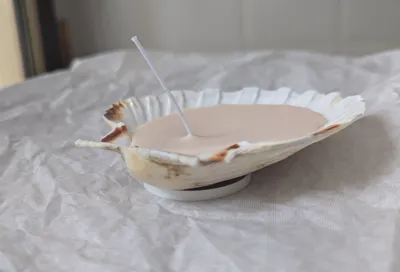 Stand for DIY Seashell Candles (Using Old Wax)