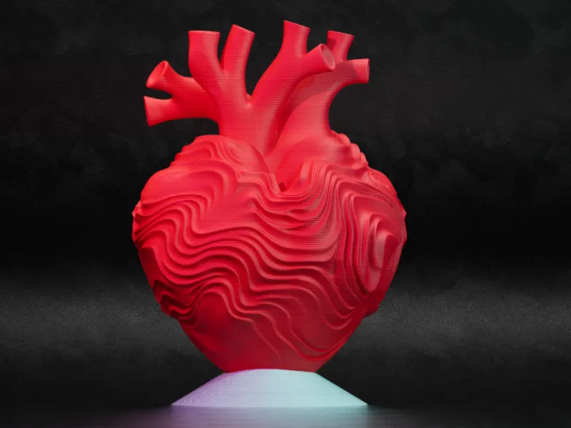Valentines day heart 