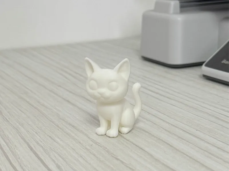 Cute Cat