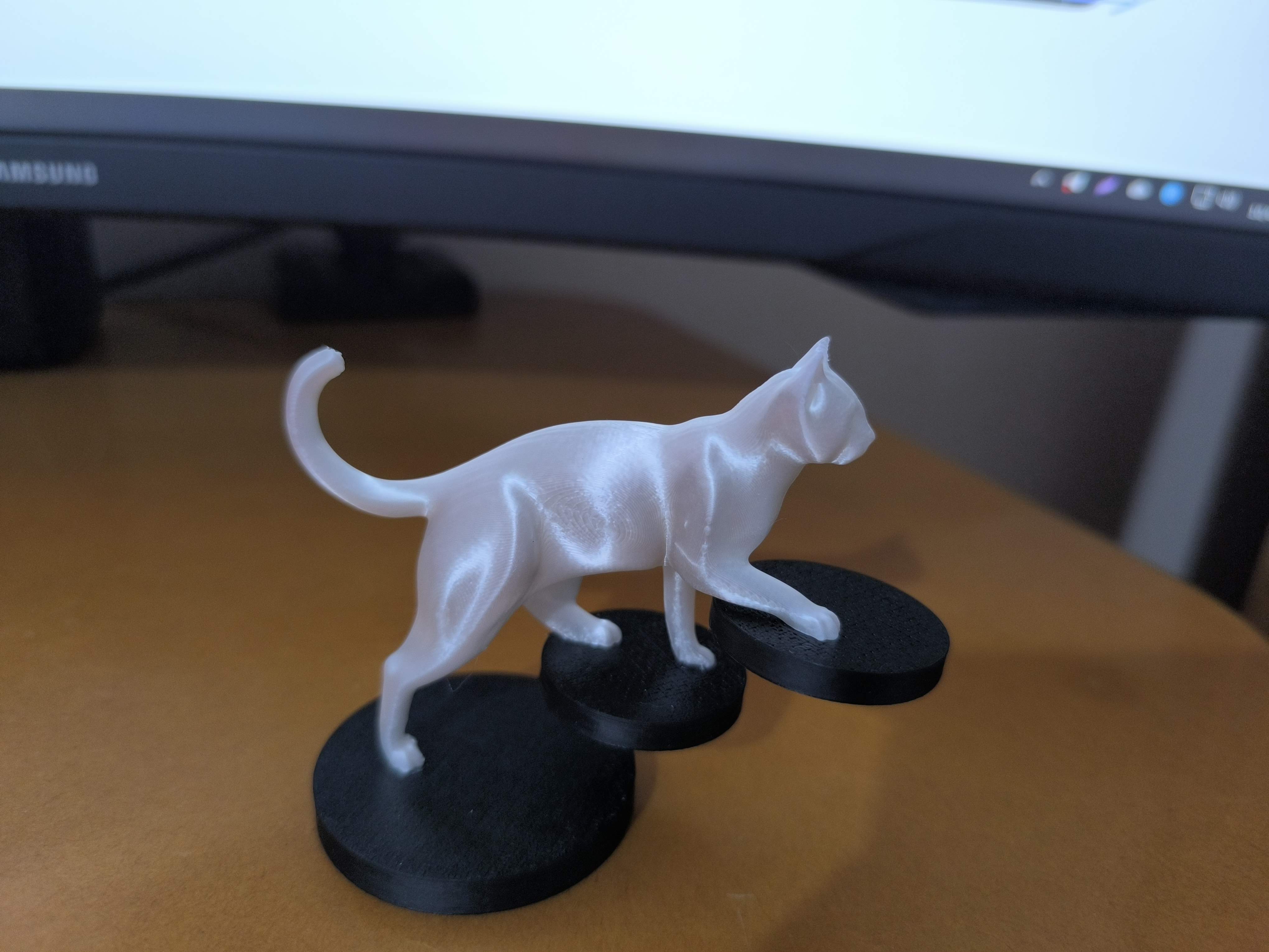 Miniatura 2 do modelo 3D Balancing Cat