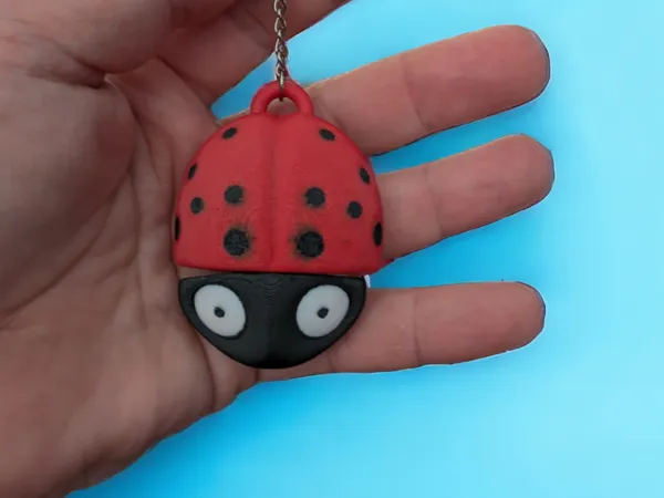 https://makerworld.bblmw.com/makerworld/model/US23191ac0a806c2/design/2024-12-22_7527eb6dbac5f.png