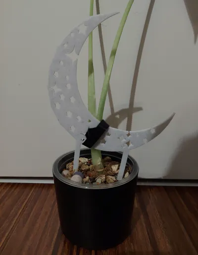 Star Moon Plant Trelli