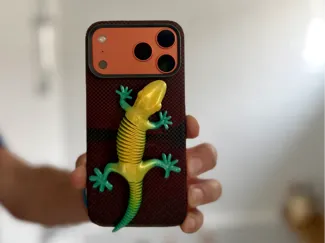 Cute Gecko with Magnets
