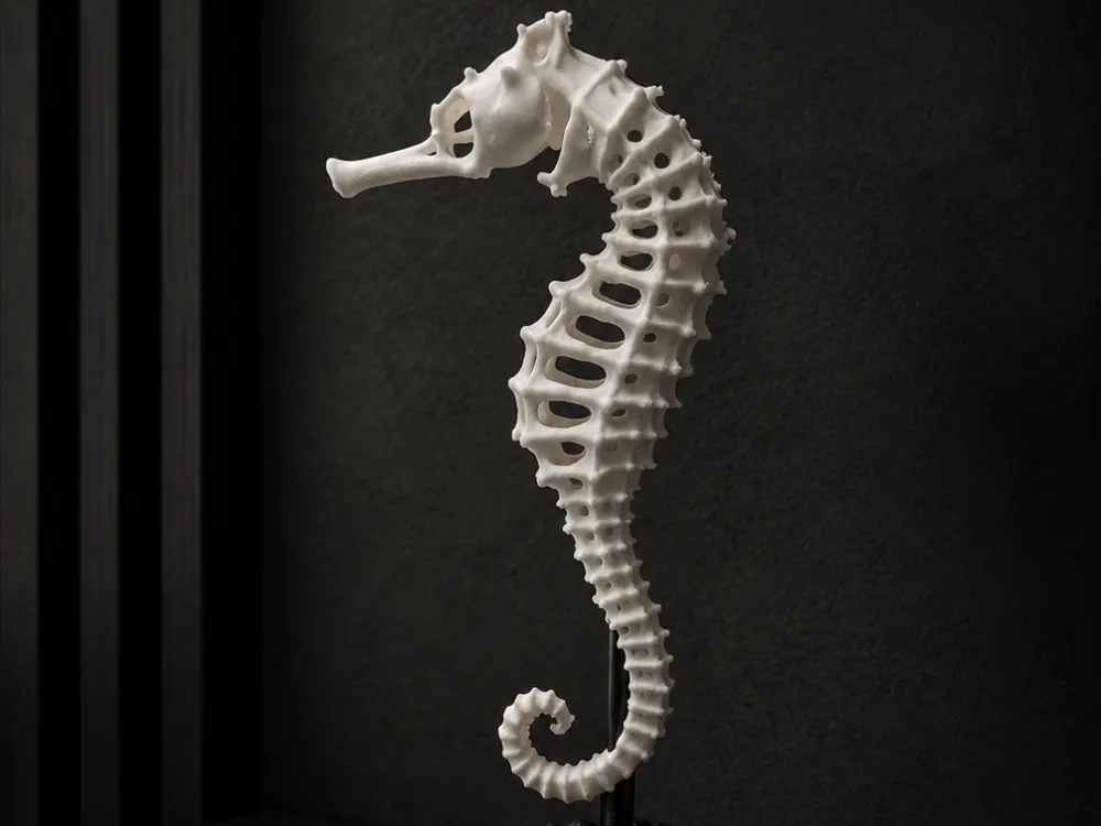 Adorno temático: Skeleton Seahorse. Referencia del modelo original.