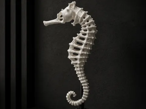 Adorno temático: Skeleton Seahorse — referencia de MakerWorld