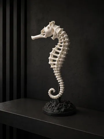 Adorno temático: Skeleton Seahorse — vista de referencia 3