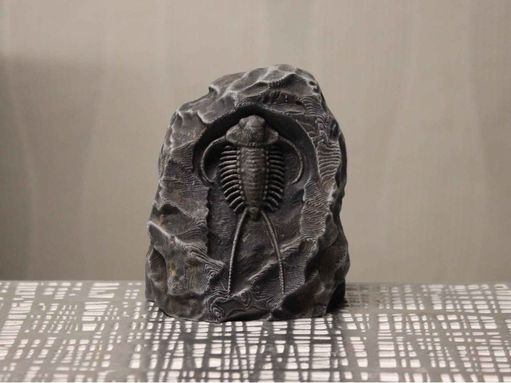 Versteinerter Trilobit 2 Fossil