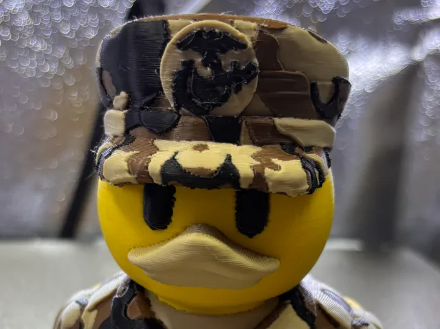 Marine Duck
