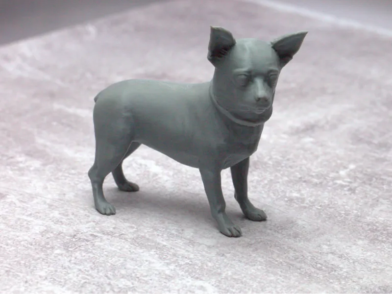 Chihuahua + Toy Terrier without a tail =)