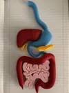 Scaled 50% - 0.2mm layer, 2 walls, 15% infill