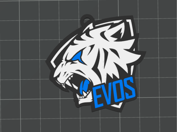 Evos Logo