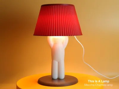 Just A Normal Lamp | Meccha Chameleon lamp