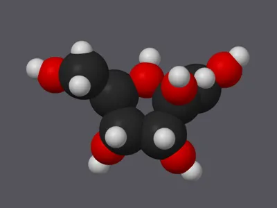 Sugar Molecule Models