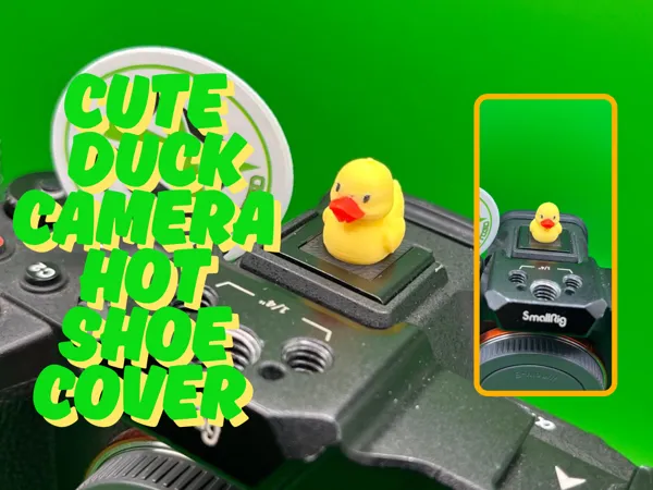 https://makerworld.bblmw.com/makerworld/model/US2335636e7a52cd/design/2025-06-23_8200c62303f688.png
