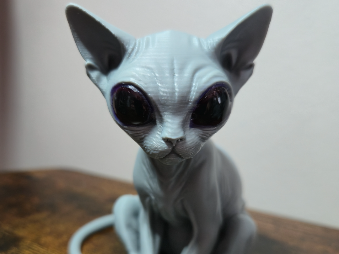 Alien’s best friend: Sphinx Cat - 1
