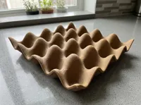 16 egg tray