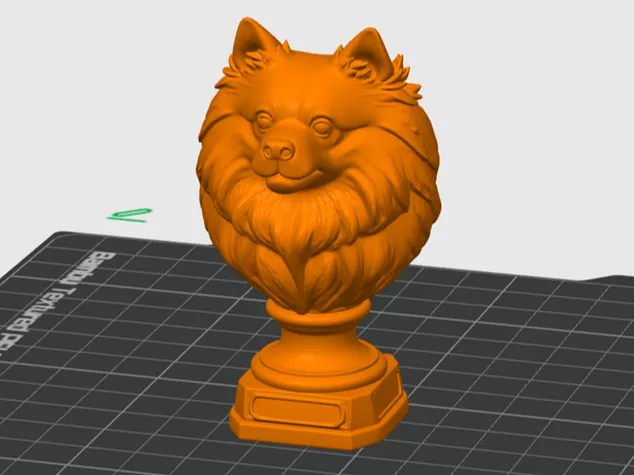 Spitz Alemão Busto