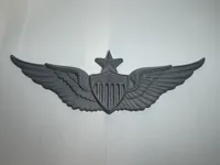 Senior Aviator