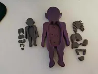 Puzzle éducatif d'anatomie — photo 3