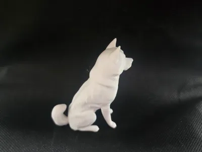 AMERICAN AKITA