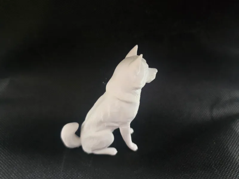 AKITA AMERICANO