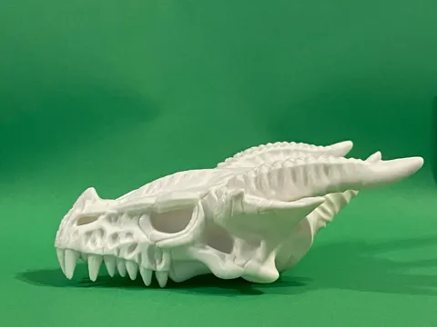 Ancient Frost Drake Skull - Fantasy Decor Dragon