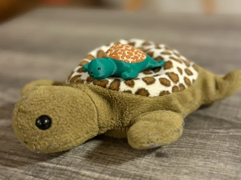 Bean Turtle
