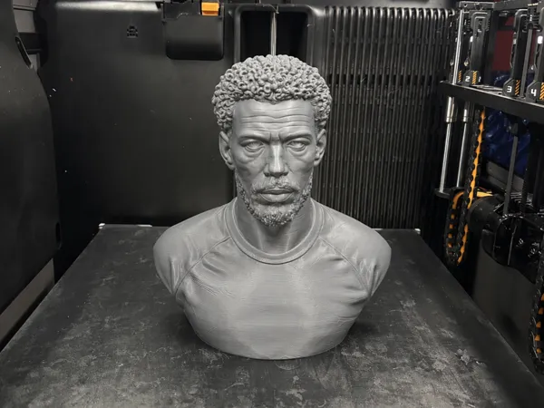 https://makerworld.bblmw.com/makerworld/model/US2343fd05aea940/design/2a1167cebcbe80ef.png