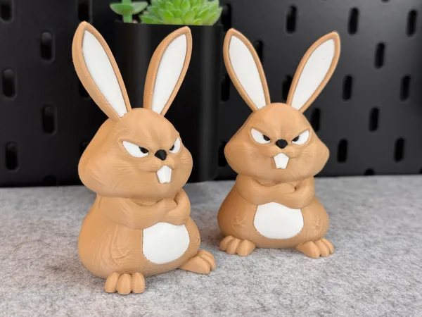 https://makerworld.bblmw.com/makerworld/model/US234588371bdb24/design/2025-03-06_99baac9506228.jpg