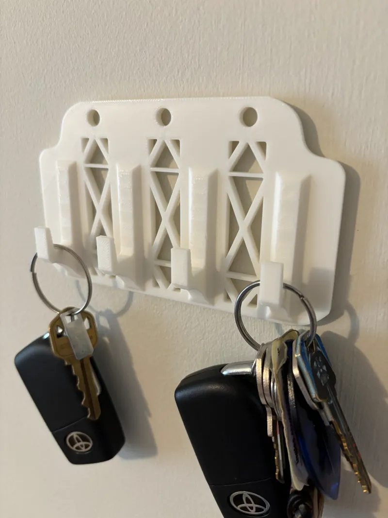Compact Keychain Organizer Hooks